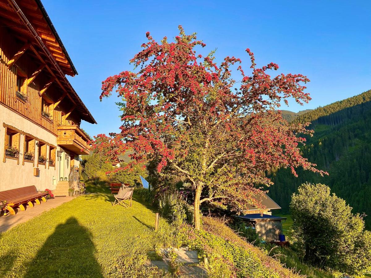 Alm Seasons Premium Chalet & Studios سالباخ هينترغليم المظهر الخارجي الصورة