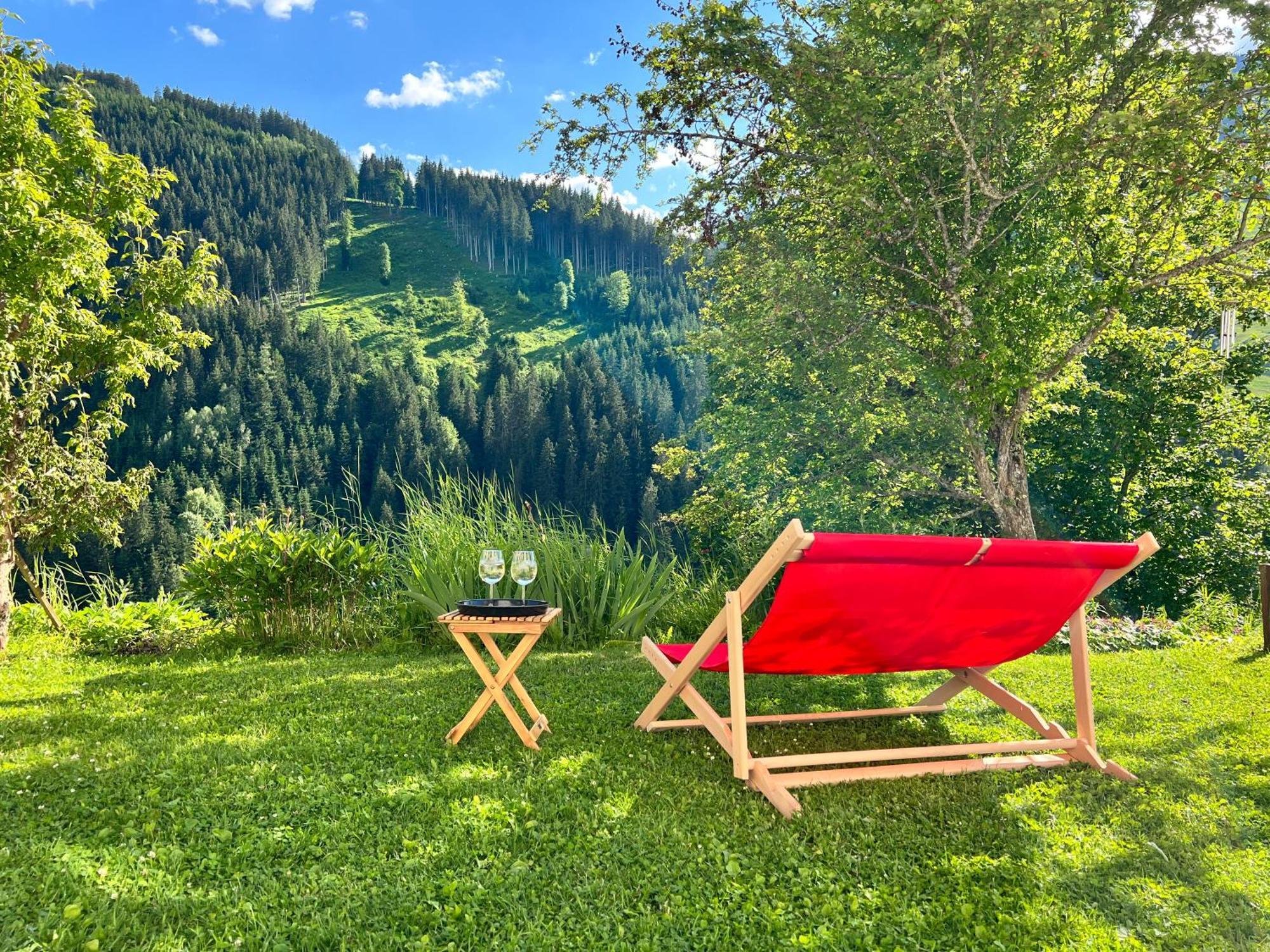 Alm Seasons Premium Chalet & Studios سالباخ هينترغليم المظهر الخارجي الصورة