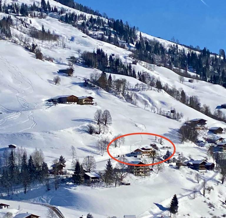Alm Seasons Premium Chalet & Studios سالباخ هينترغليم المظهر الخارجي الصورة