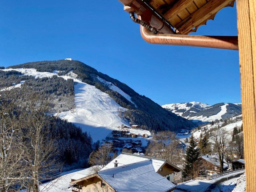 Alm Seasons Premium Chalet & Studios سالباخ هينترغليم المظهر الخارجي الصورة