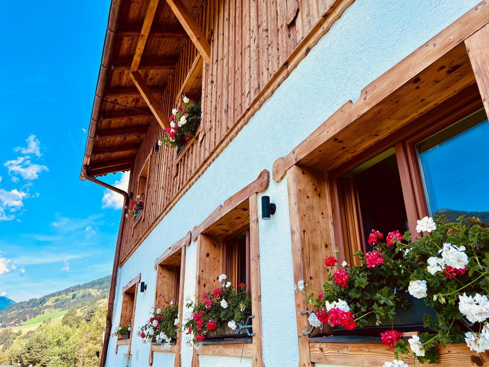 Alm Seasons Premium Chalet & Studios سالباخ هينترغليم المظهر الخارجي الصورة