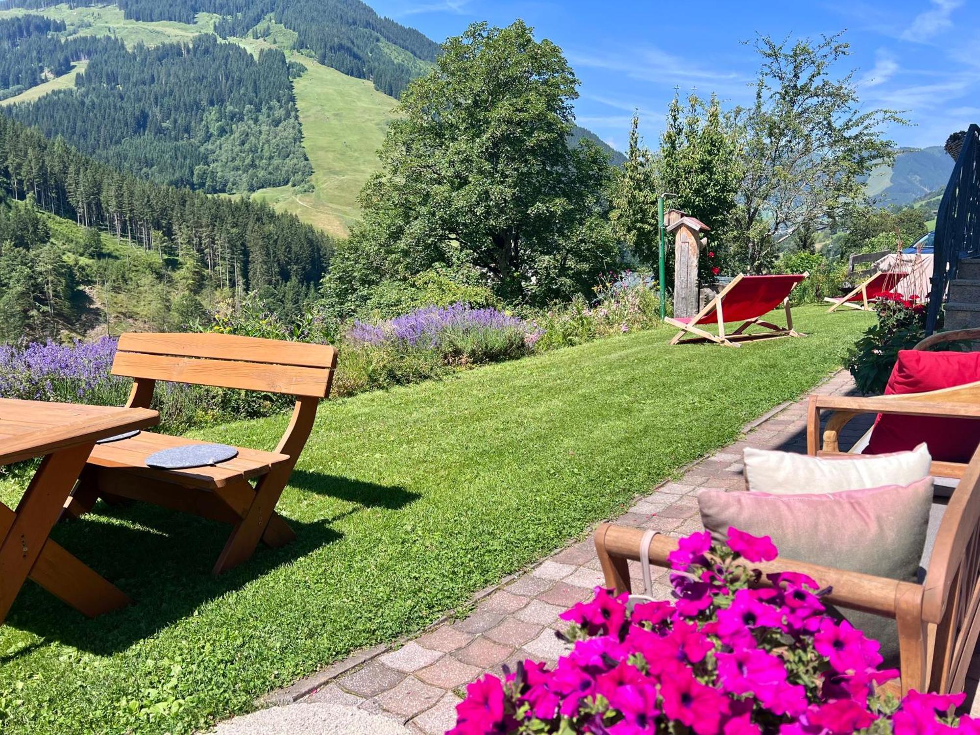 Alm Seasons Premium Chalet & Studios سالباخ هينترغليم المظهر الخارجي الصورة